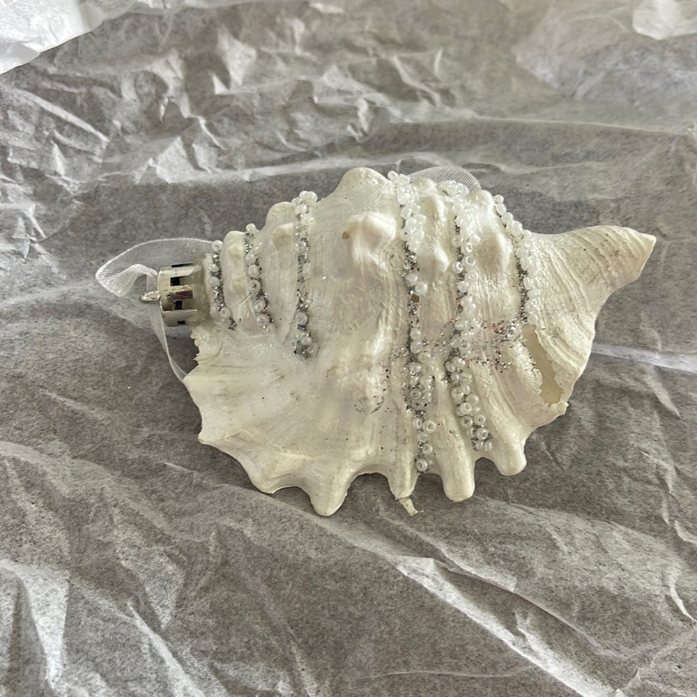Shell 🐚 ornament